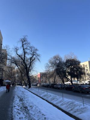 01/IMG_4568.jpg